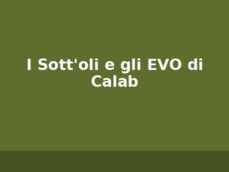 I Sott'oli e gli EVO di Calab