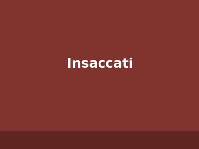 Insaccati