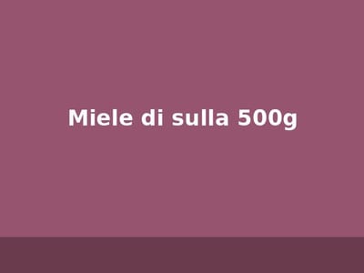 Miele di sulla 500g